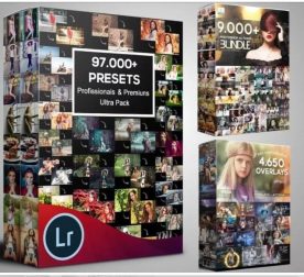 light room preset and phd action